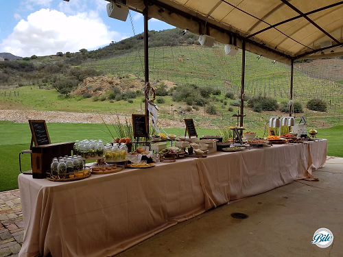 Beautiful Outdoor Buffet in Vineyard