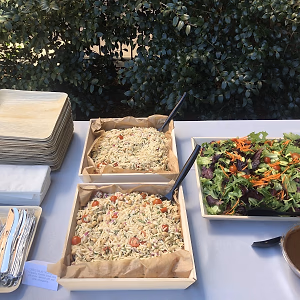 Orzo and Mixed Green Salads