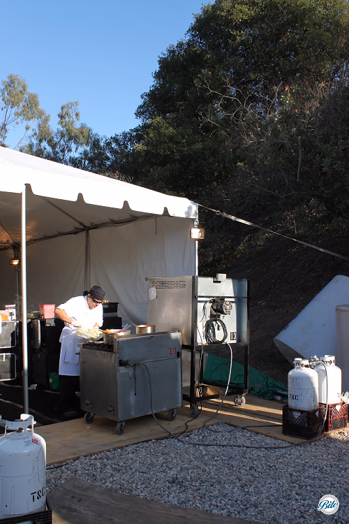 Large Kitchen Tent