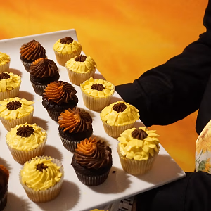 Sunflower Themed Cupcakes