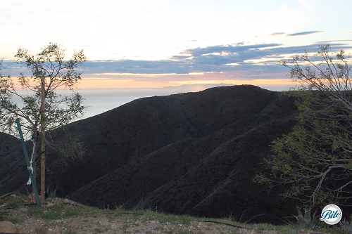 View of Sunset from Malibu Hills