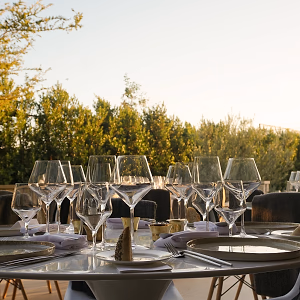 Beautiful Outdoor Dining Setup