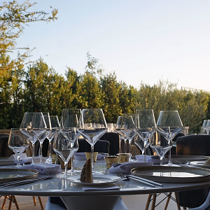 Beautiful Outdoor Dining Setup