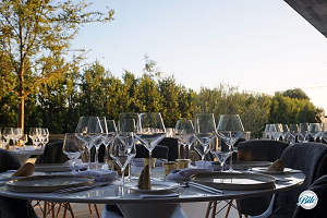 Beautiful Outdoor Dining Setup