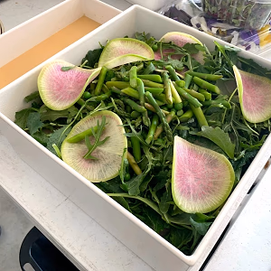 Spring Baby Salad in White Square Bowl