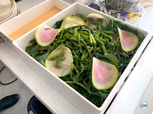 Spring Baby Salad in White Square Bowl