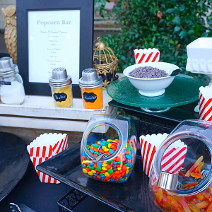 Popcorn Bar Toppings and Candy