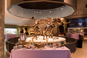 Cocktail Reception at La Brea Tar Pits