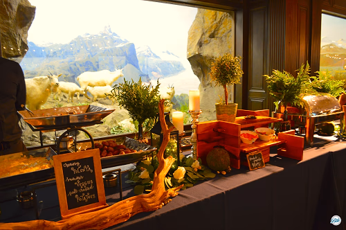 Buffet Setup by Mountain Goat Exhibit