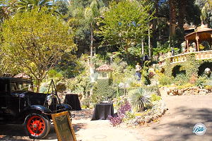 Vintage Car at Entrance