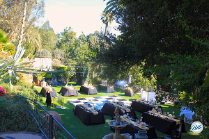 Lower Meadow Set for Evening