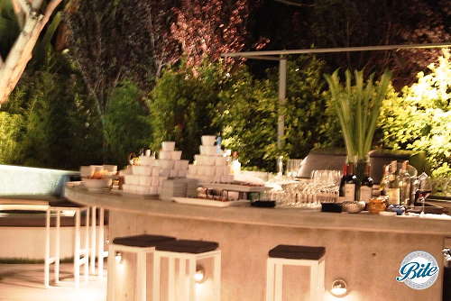 Backyard Bar