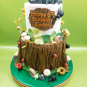 3rd bug themed birthday cake