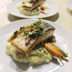 Seasonal Catch with zucchini and tomato brushcetta