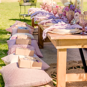 Grazing menu individual box at picnic