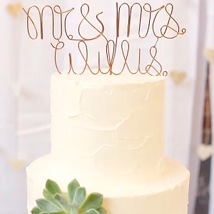 Succulent themed wedding cake