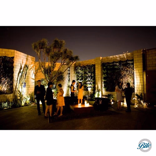 Courtyard Outdoors @ SmogShoppe