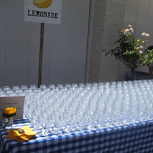 Lemonade Station - Summer Wedding