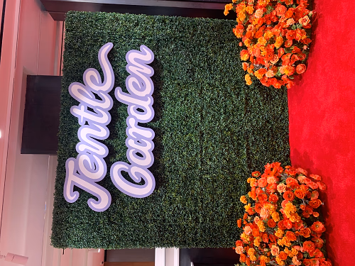 Grass Wall Photo Backdrop for Jentle Garden