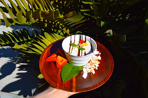 Greek yogurt panna cotta plated with warm chocolate sauce and balsamic strawberries