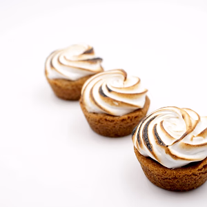 mini s’mores bites