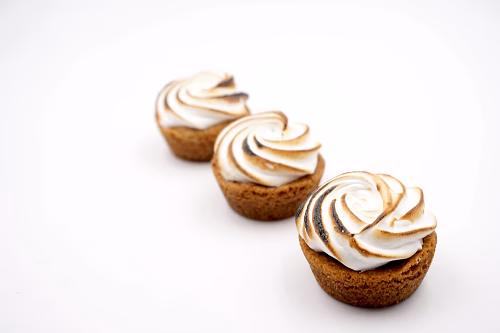 mini s’mores bites