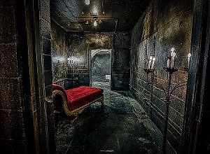 The Private Collection