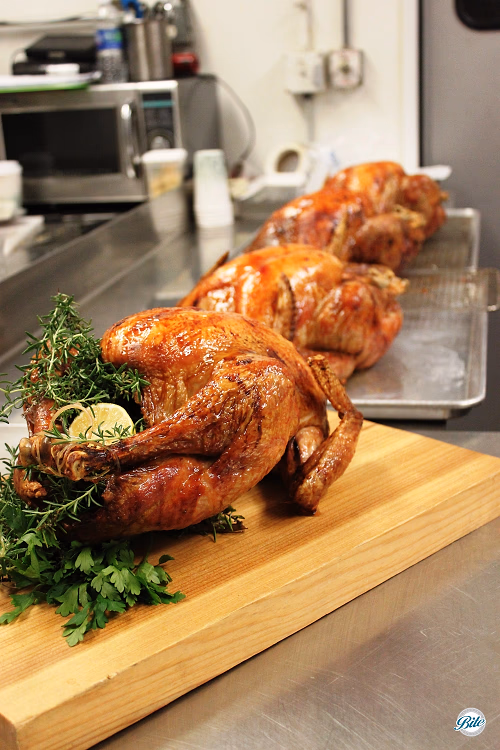 Thanksgiving Turkey