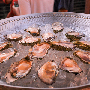 Freshly shucked oysters