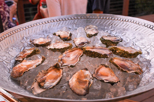 Freshly shucked oysters
