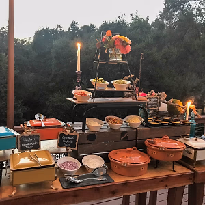 Gourmet taco bar display