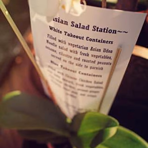 Asian Salad Station Menu Description