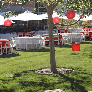 Setup For Company Party