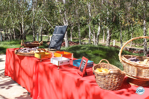 Setup for Appetizers Display