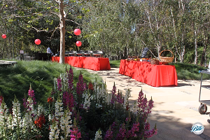 Buffet Outdoor @ Valley Crest