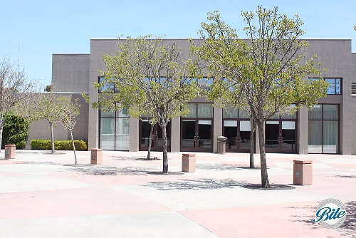 Torrance Cultural Arts Center Torino Plaza Trees