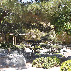 Torrance Cultural Arts Center Pine Wind Japanese Garden Landscape