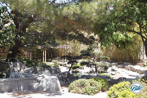 Torrance Cultural Arts Center Pine Wind Japanese Garden Landscape