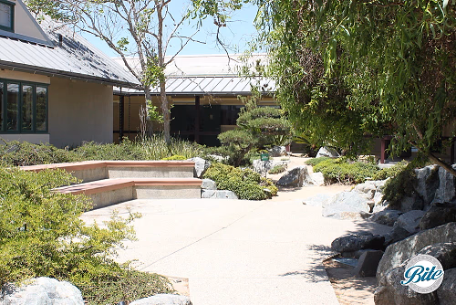 Torrance Cultural Arts Center Pine Wind Japanese Garden Ceremony