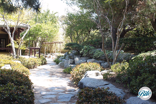 Torrance Cultural Arts Center Pine Wind Japanese Garden Stone Path
