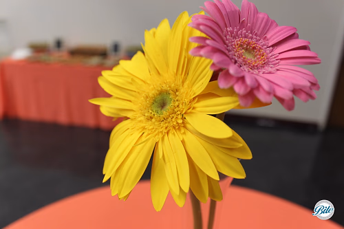 Daisy centerpieces on a table