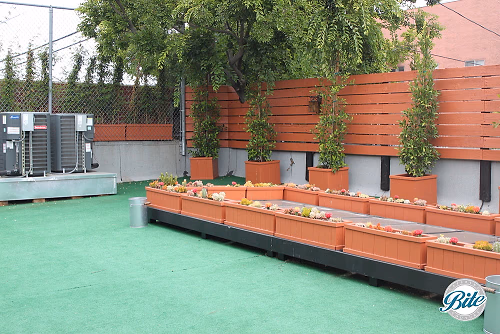 Studio 11 Rooftop Patio