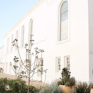 Plaza Garden Facing 440 Elm