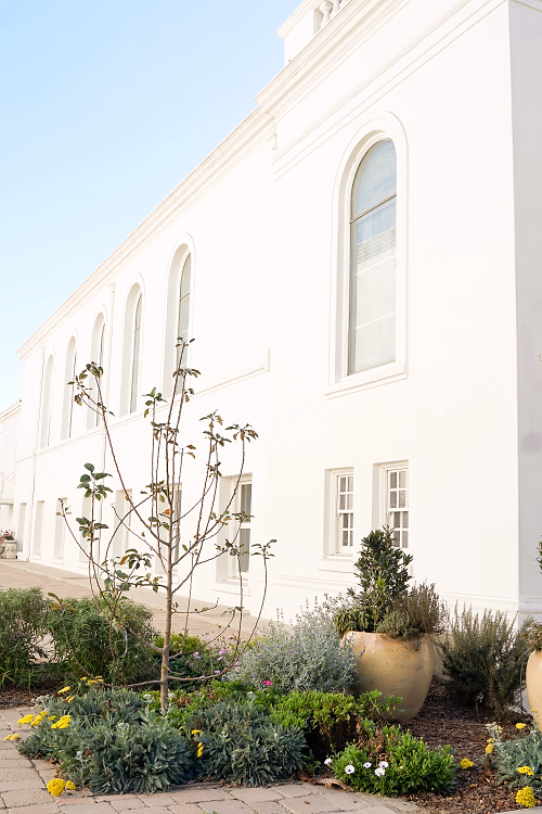 Plaza Garden Facing 440 Elm