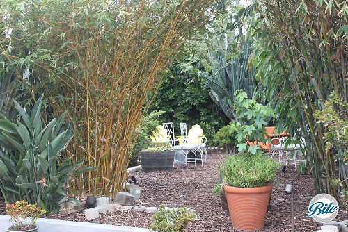 Studio 11 Garden Lounge