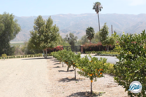 Newhall Mansion Driveway Entrance