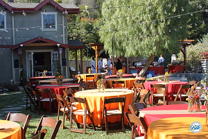 Backyard BBQ Party Setup