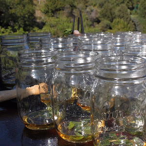 Backyard BBQ Party Mint Julep