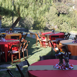 Backyard Party Guest Tables