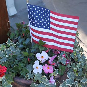 Backyard BBQ Party American Flag